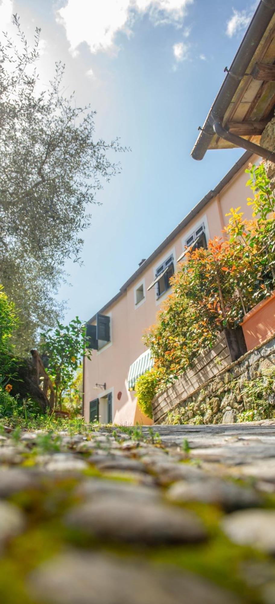 Agriturismo Villa Caterina Levanto Eksteriør billede