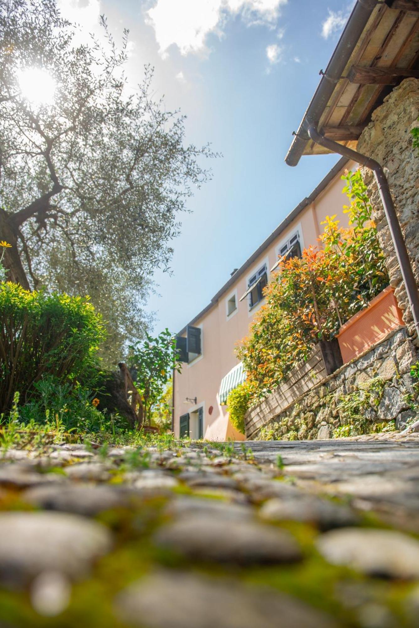 Agriturismo Villa Caterina Levanto Eksteriør billede