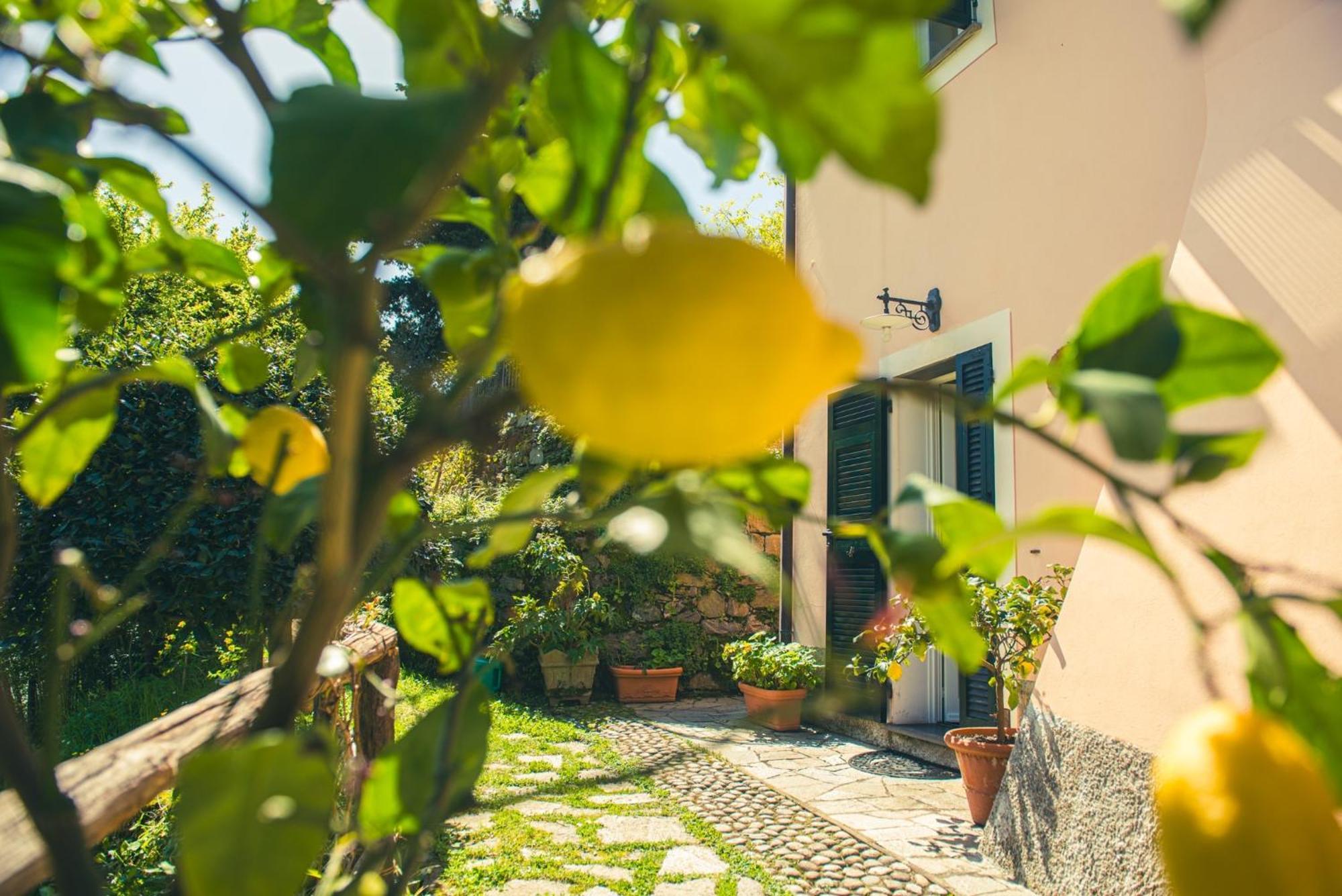 Agriturismo Villa Caterina Levanto Eksteriør billede